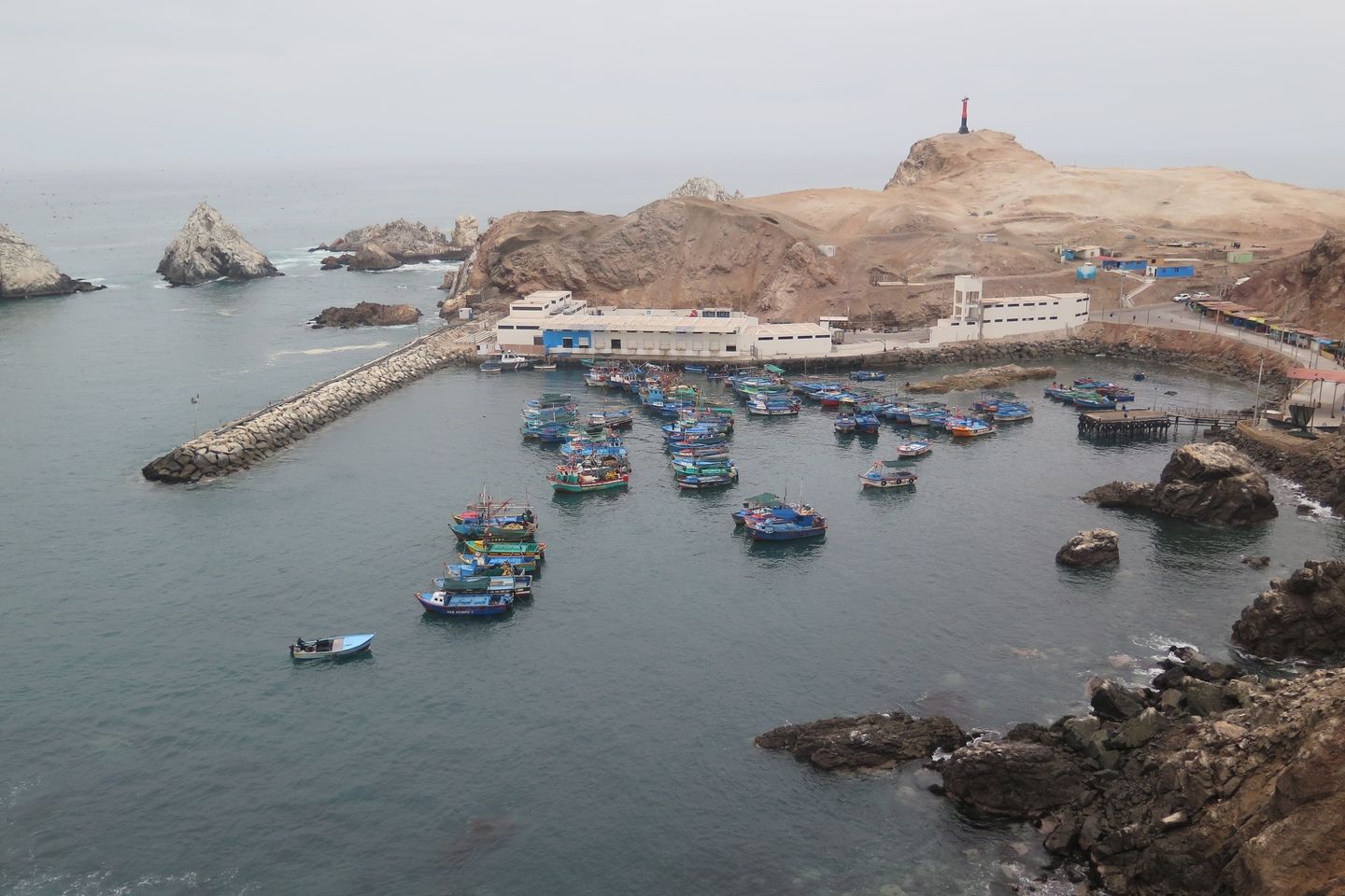 DPA Matarani_Daniel Medina_Intelfin-min