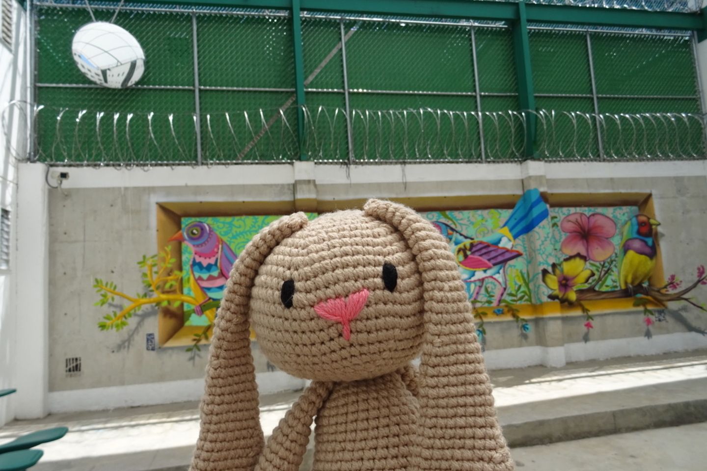 Desarrollo infantil en prisión