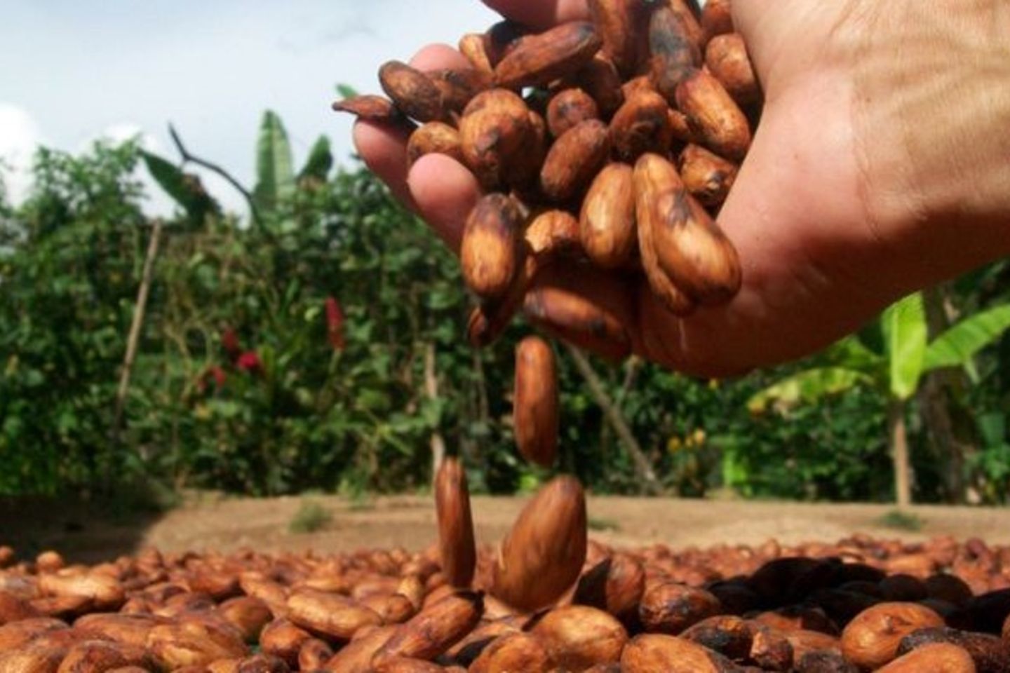 Diseño sin título (1)