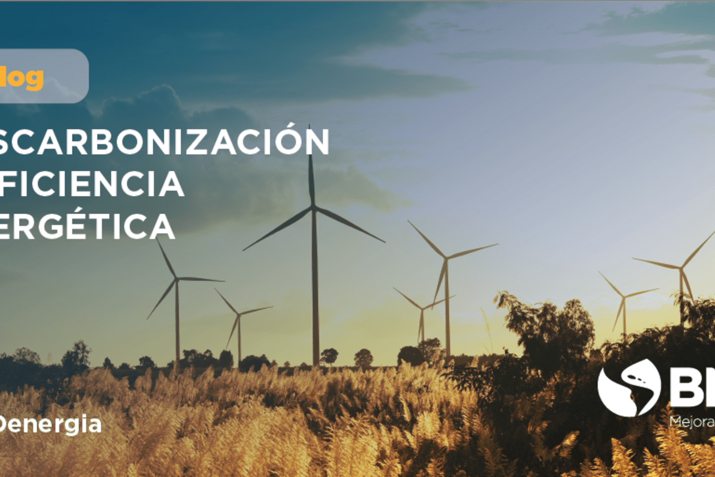 Eficiencia energética-descabonización