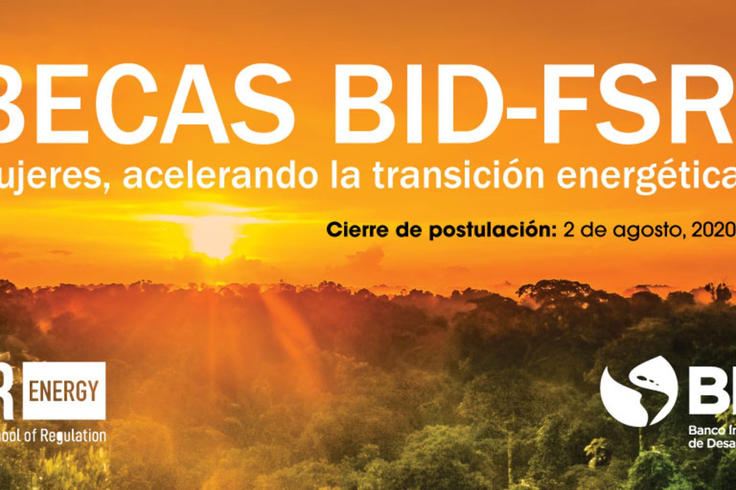 FSR-BID-Twitter-corregida