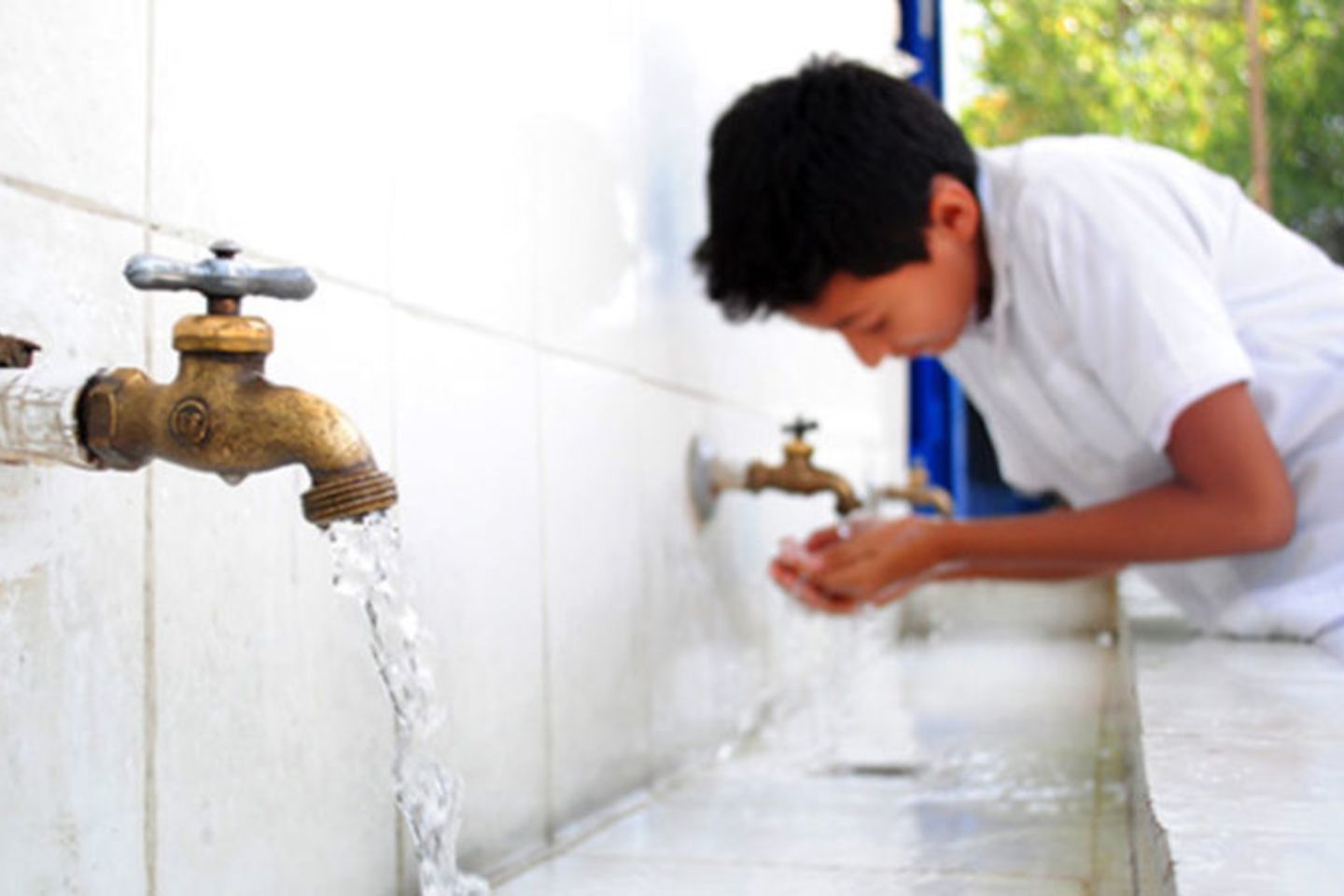 Foto_colegio-betania_viveelmeta