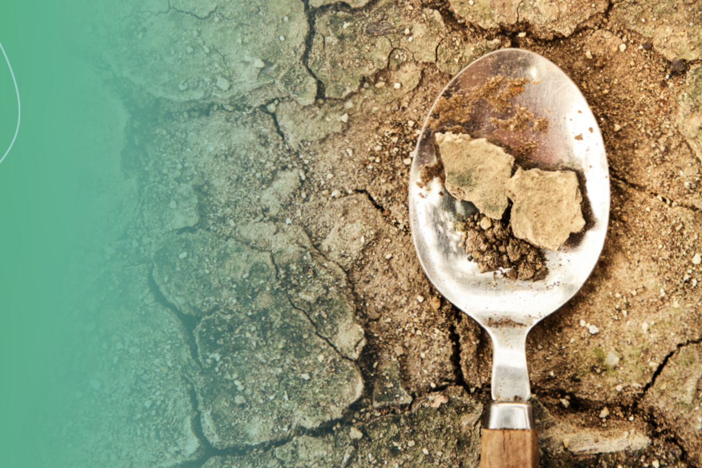 inseguridad alimentaria