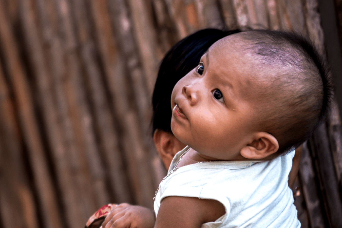 Desarrollo cerebral infantil