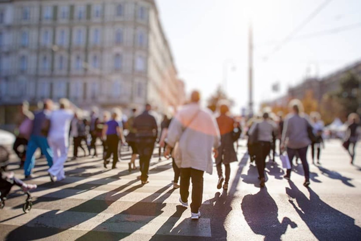 Internal-migration-and-urban-growth