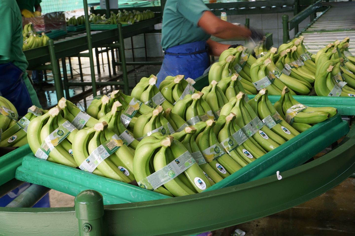 Políticas agropecuarias, acuícolas y pesqueras en Ecuador