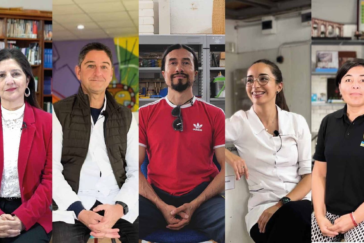 Maestros - Capsulas BID-01