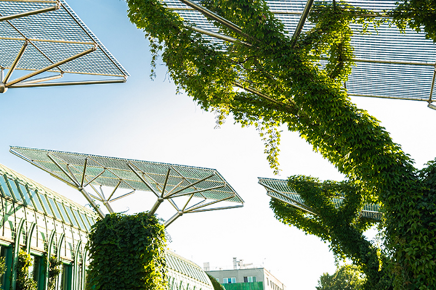 MicrosoftTeams-image (15)