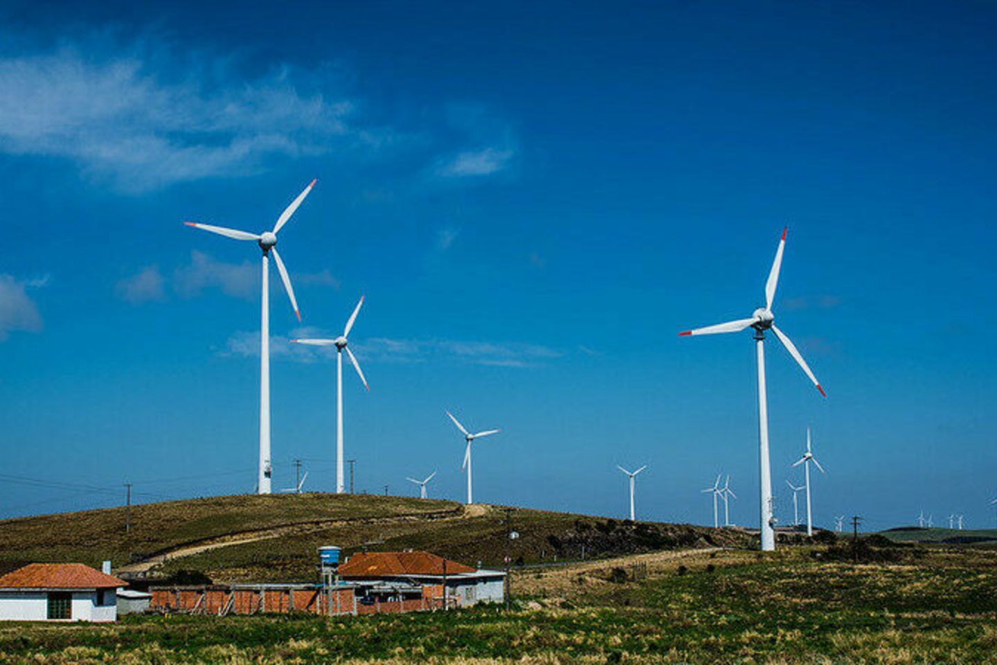 Molinos Brazil NDC Invest