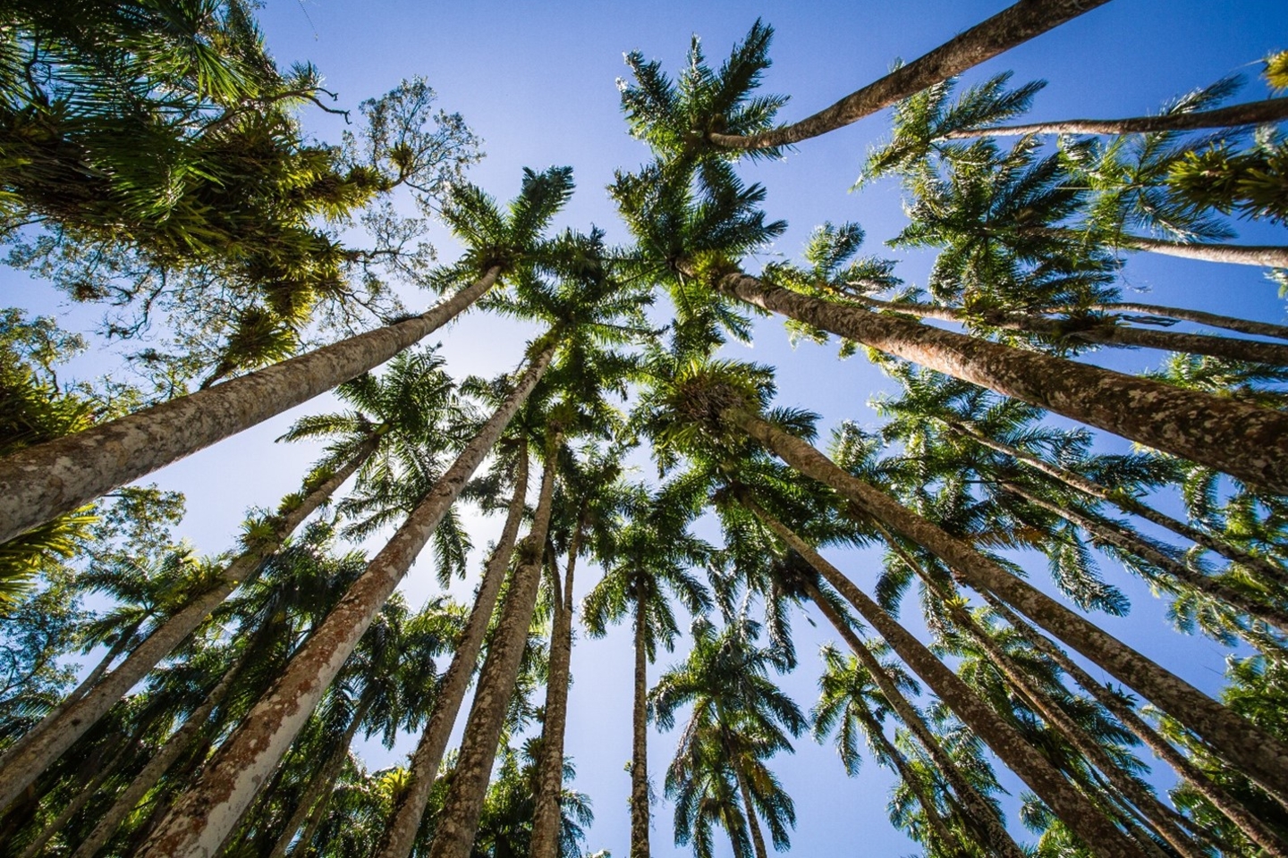 Nature Based Solutions