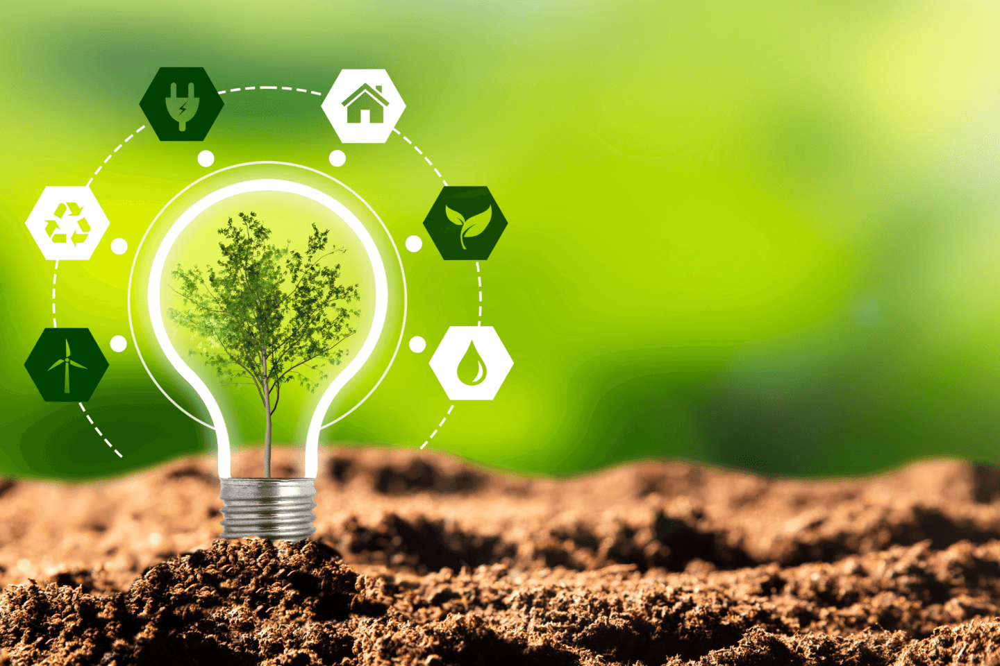 Opción 2 (Póster (horizontal)) (1)