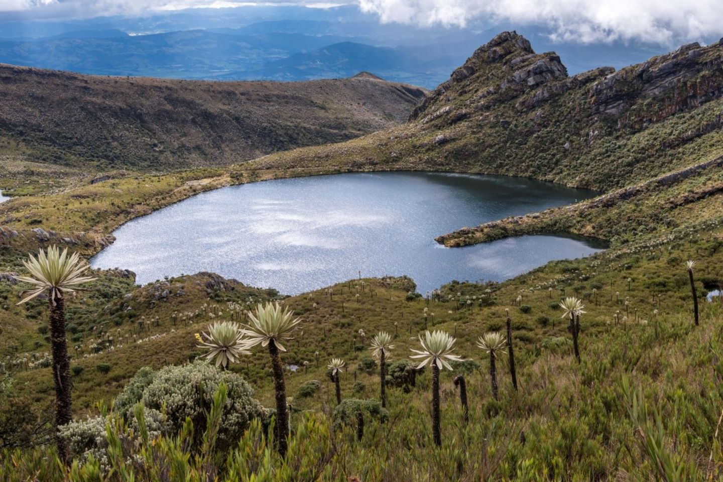 Paramos-de-Colombia3