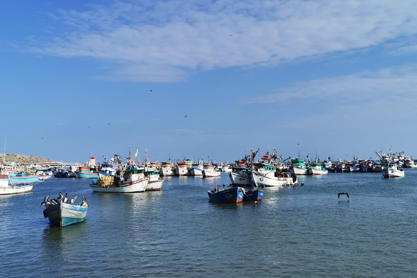 Pesca Peru intelfin-min