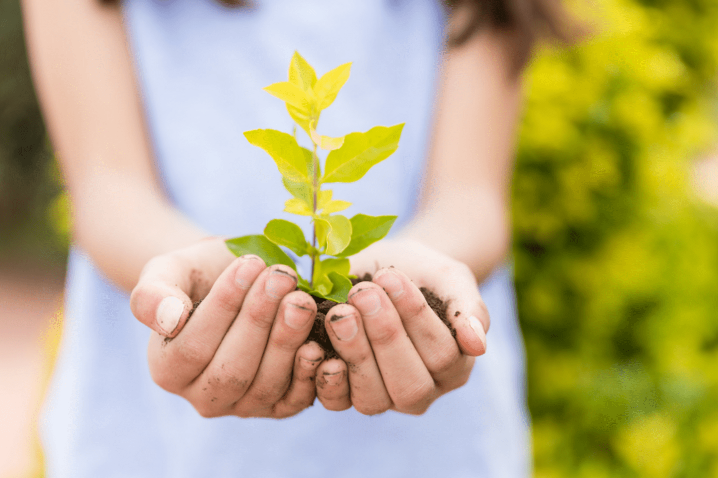 Política ambiental e Social