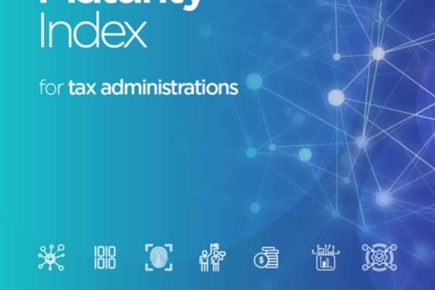 Digital Maturity Index