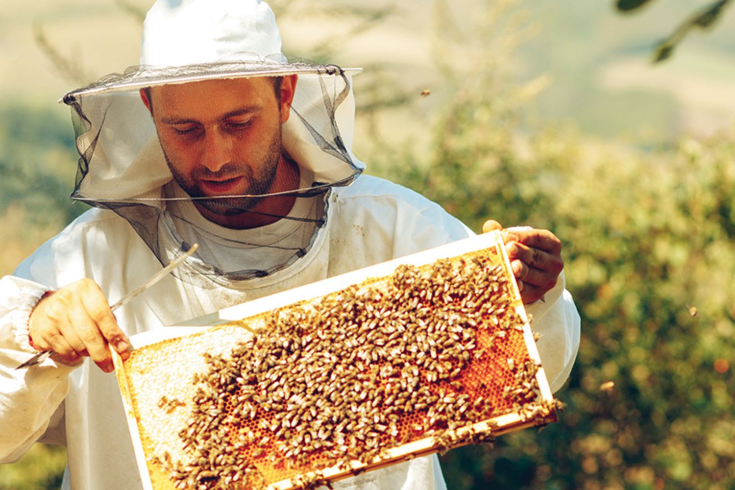 RES-blog-miel-argentina