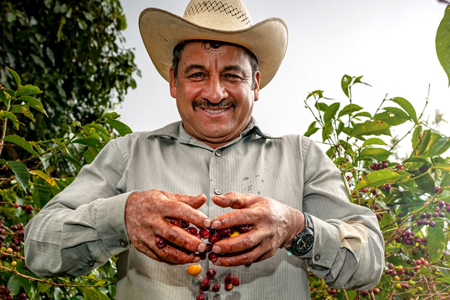 RES-blog-moneda-grandes-empresas-extranjeras-mercados-de-exportacion