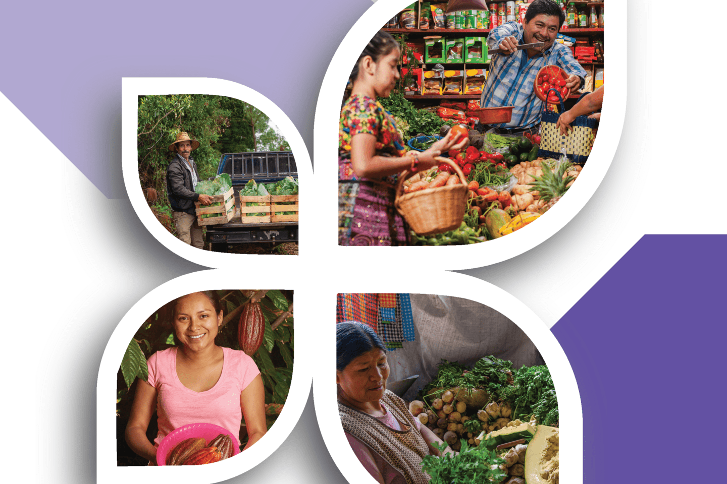 Retos-para-la-agricultura-familiar-en-el-contexto-del-COVID-19-Seguimiento-tras-6-meses-de-crisis_Page_01-min