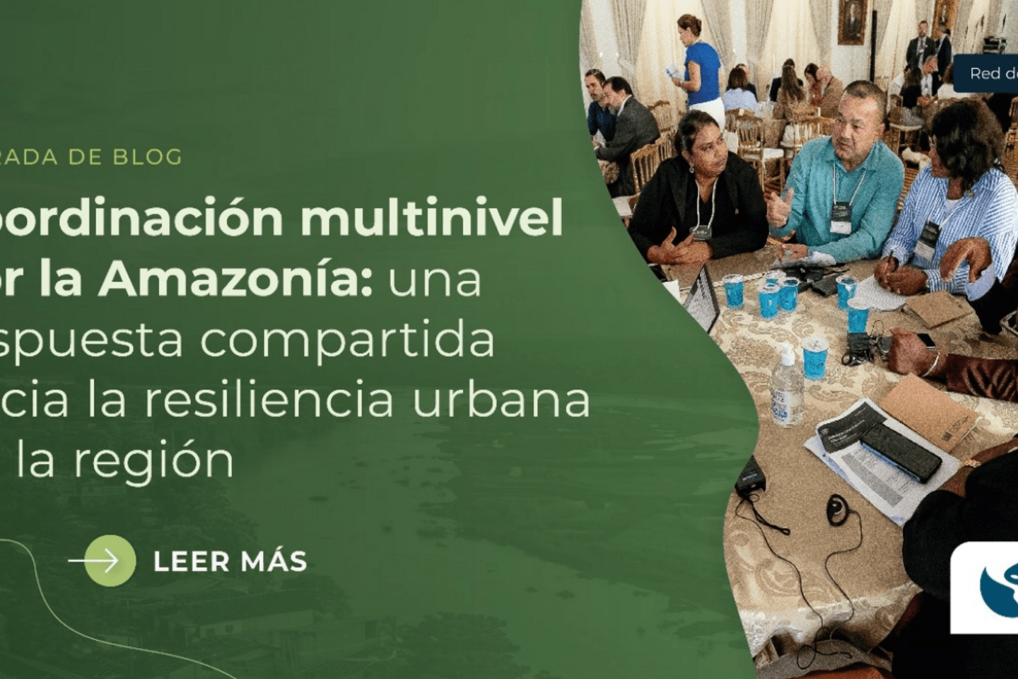 Screenshot 2024-06-25 154936