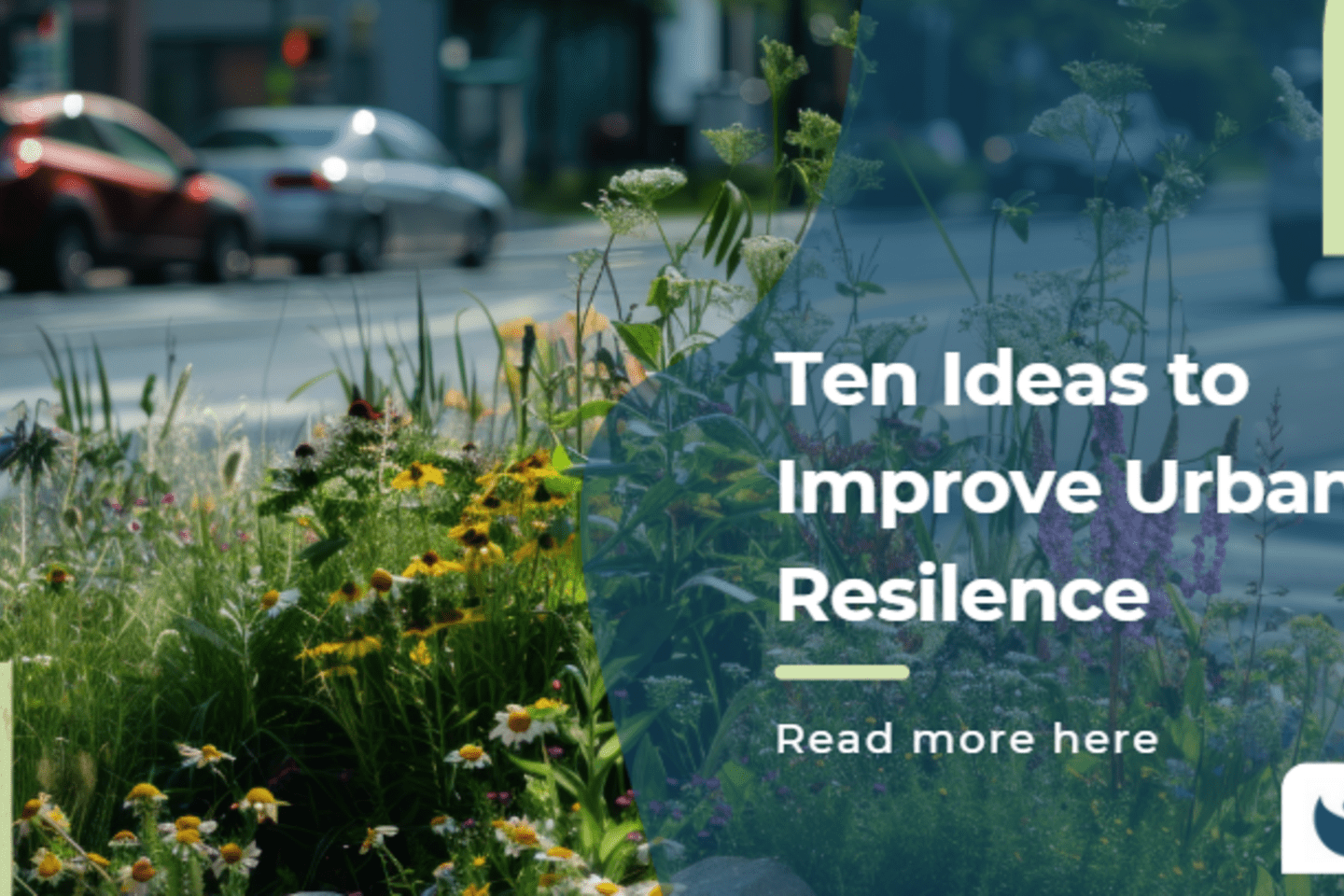 Screenshot 2024-08-08 115837