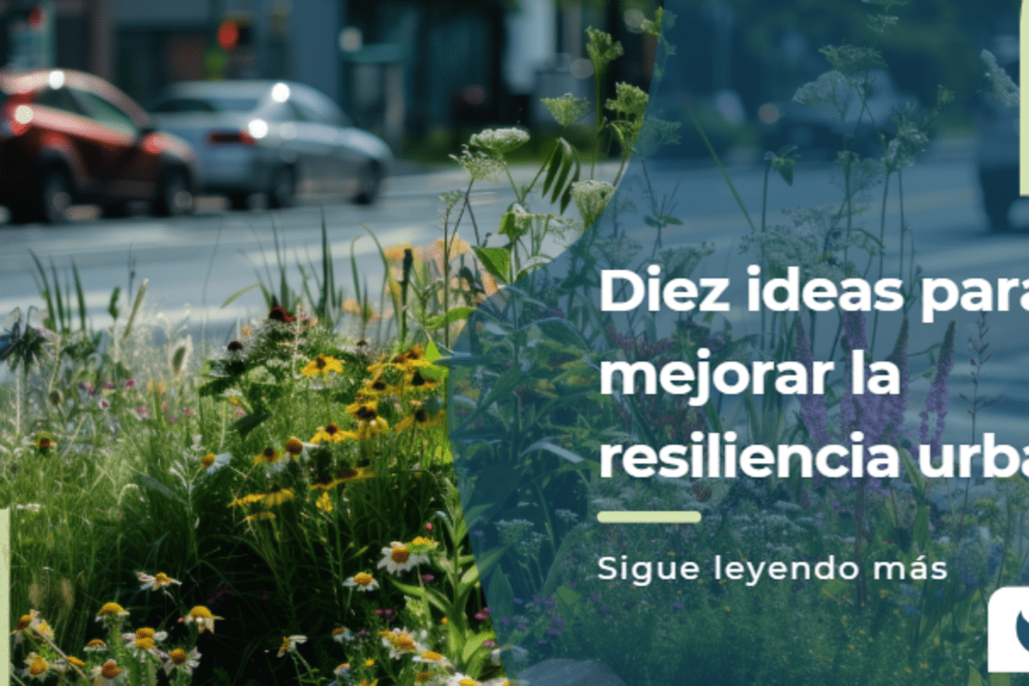 Screenshot 2024-08-08 120410