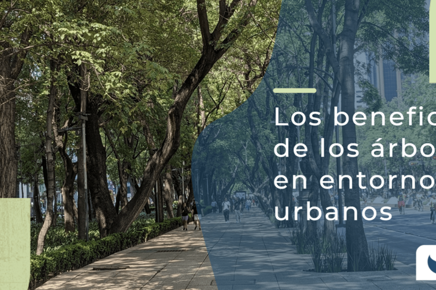 Screenshot 2024-08-15 161358