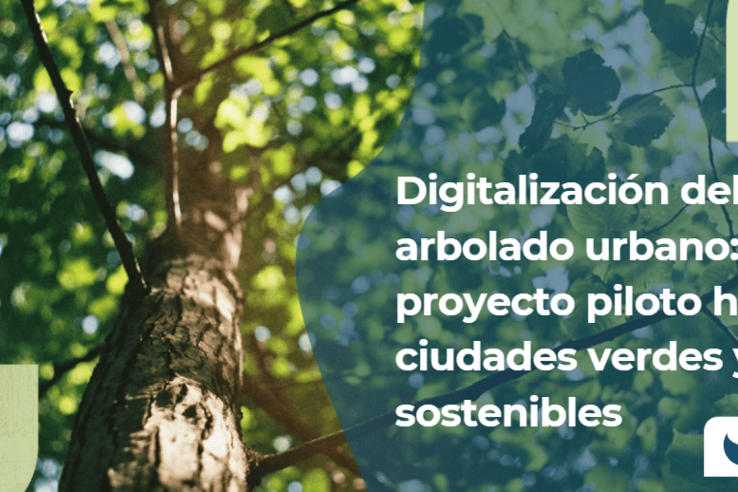 Screenshot 2024-10-29 163207