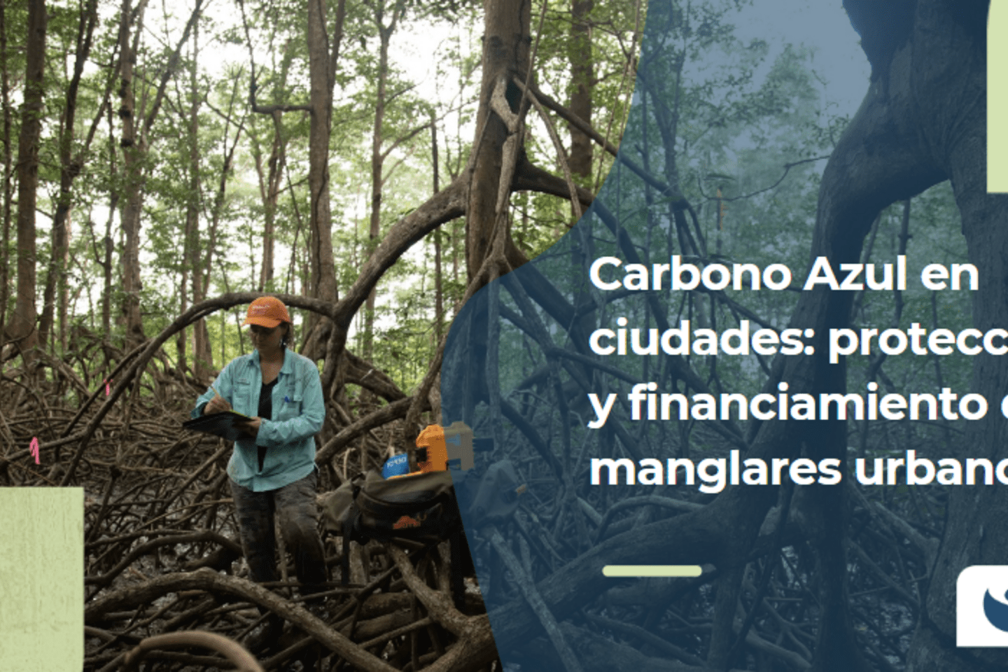 Screenshot 2024-11-12 170123