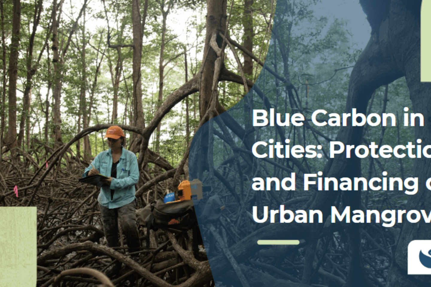 Screenshot 2024-11-12 170331