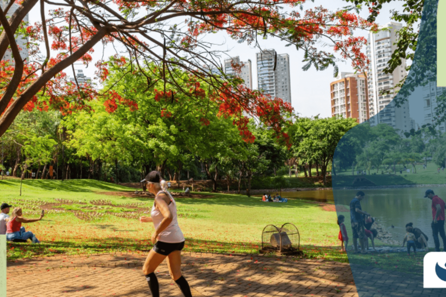 Screenshot 2025-01-30 153419