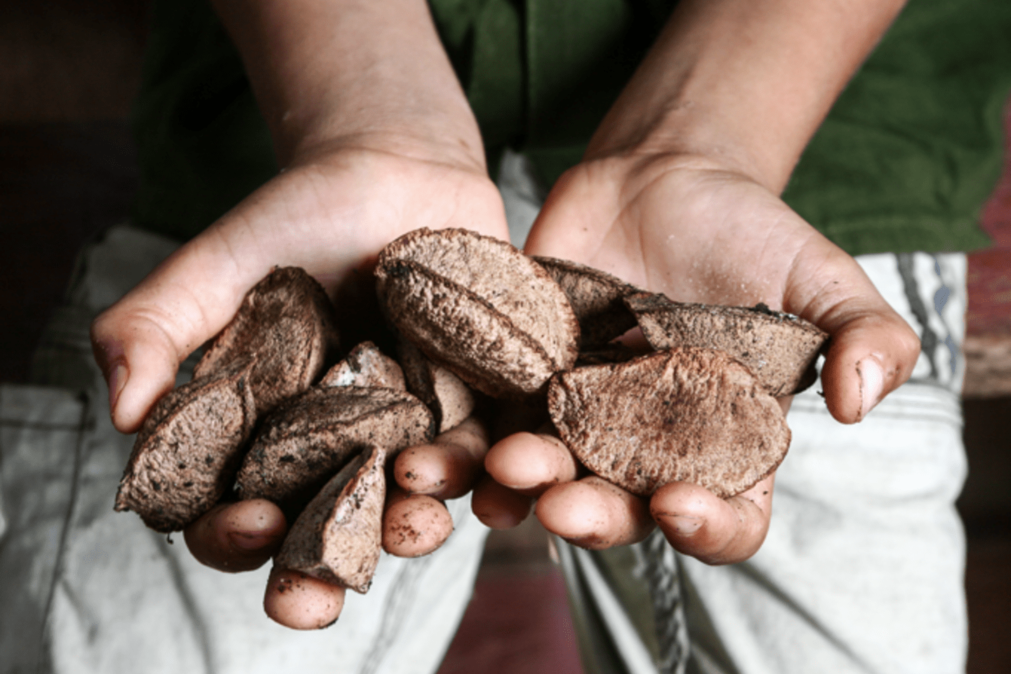 Screenshot 2025-08-21 165405