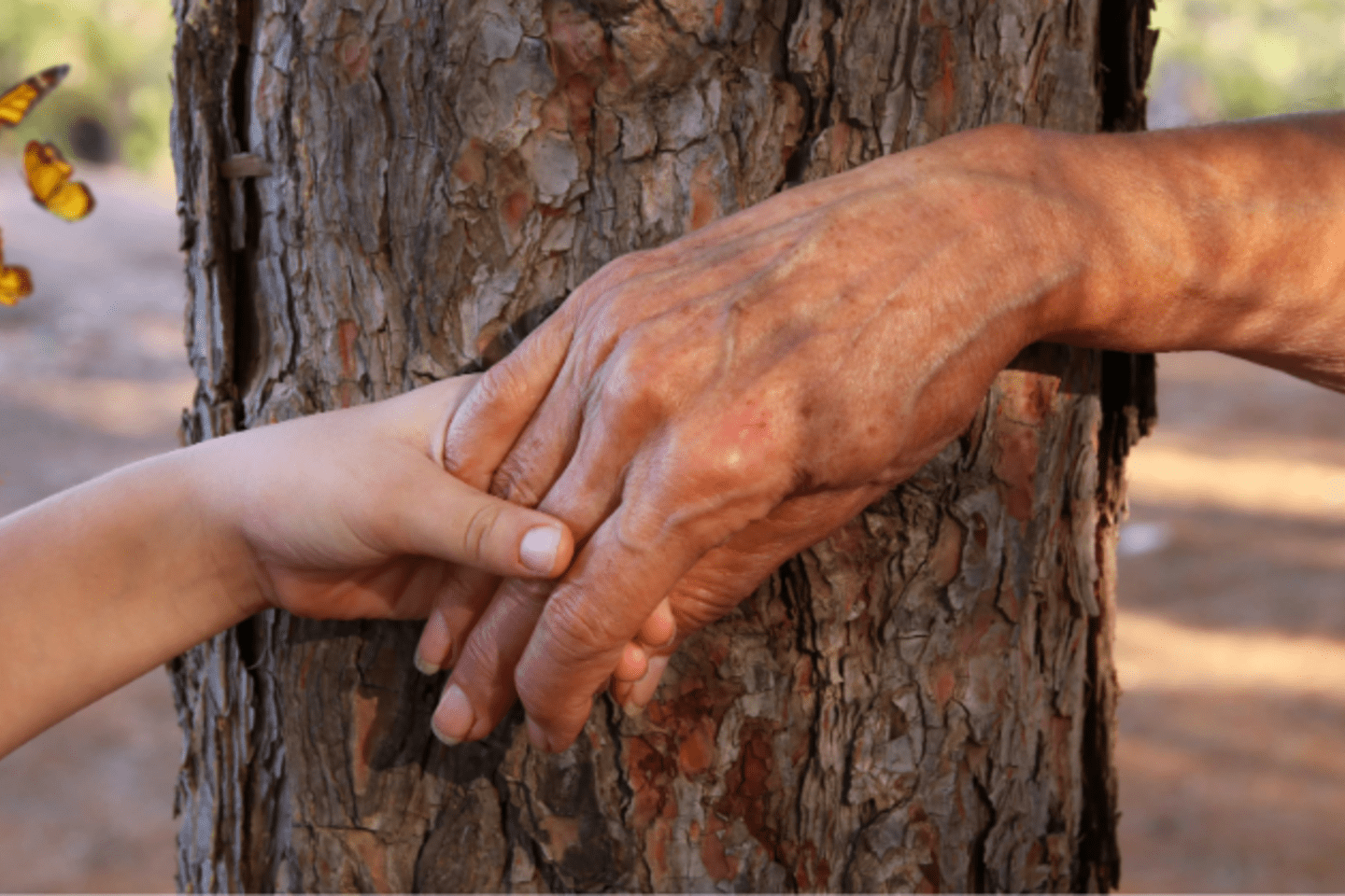 Manos de mujer y de niño