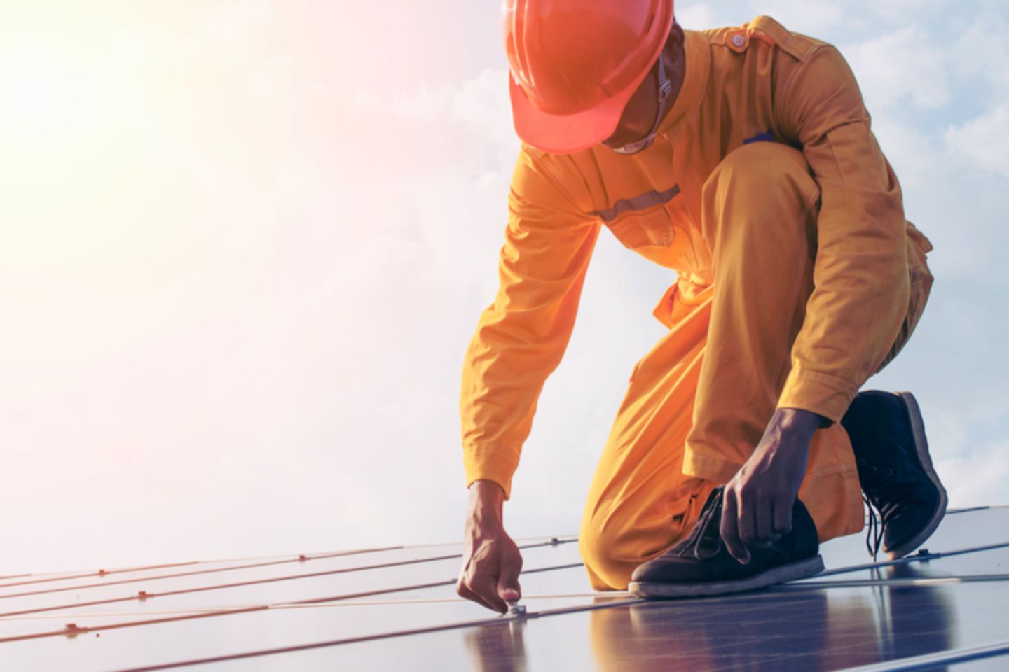 Transición y empleo (1)