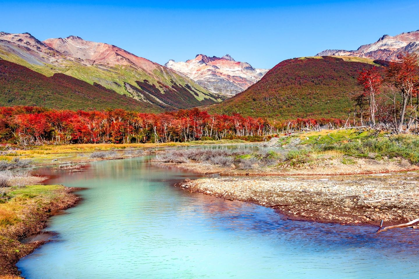 Turismo naturaleza bosque lenga patagonia Argentina