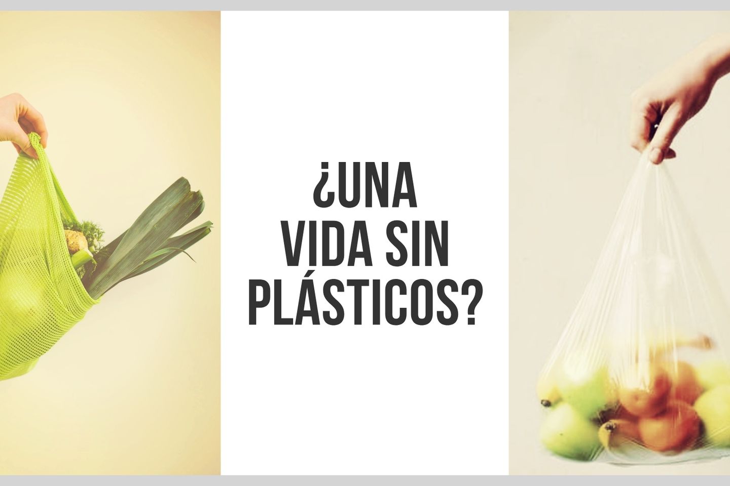Vida_Sin_Plastics_blog