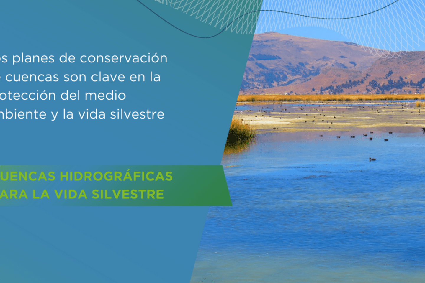 WSA-Cuencas-vida silvestre