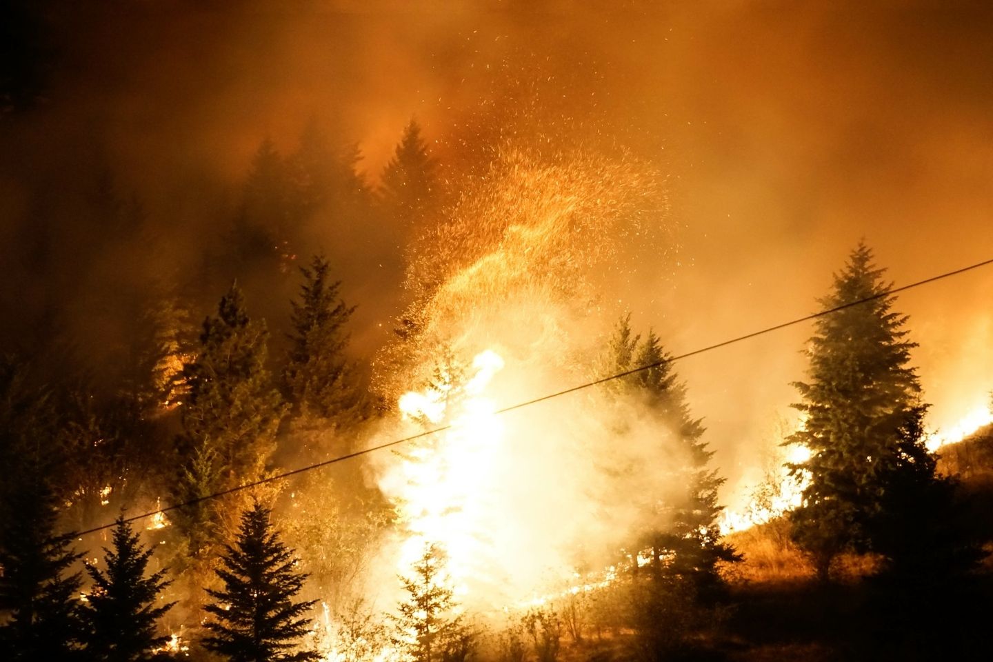 WhatsApp Image 2023-06-09 at 11.21.46 AM