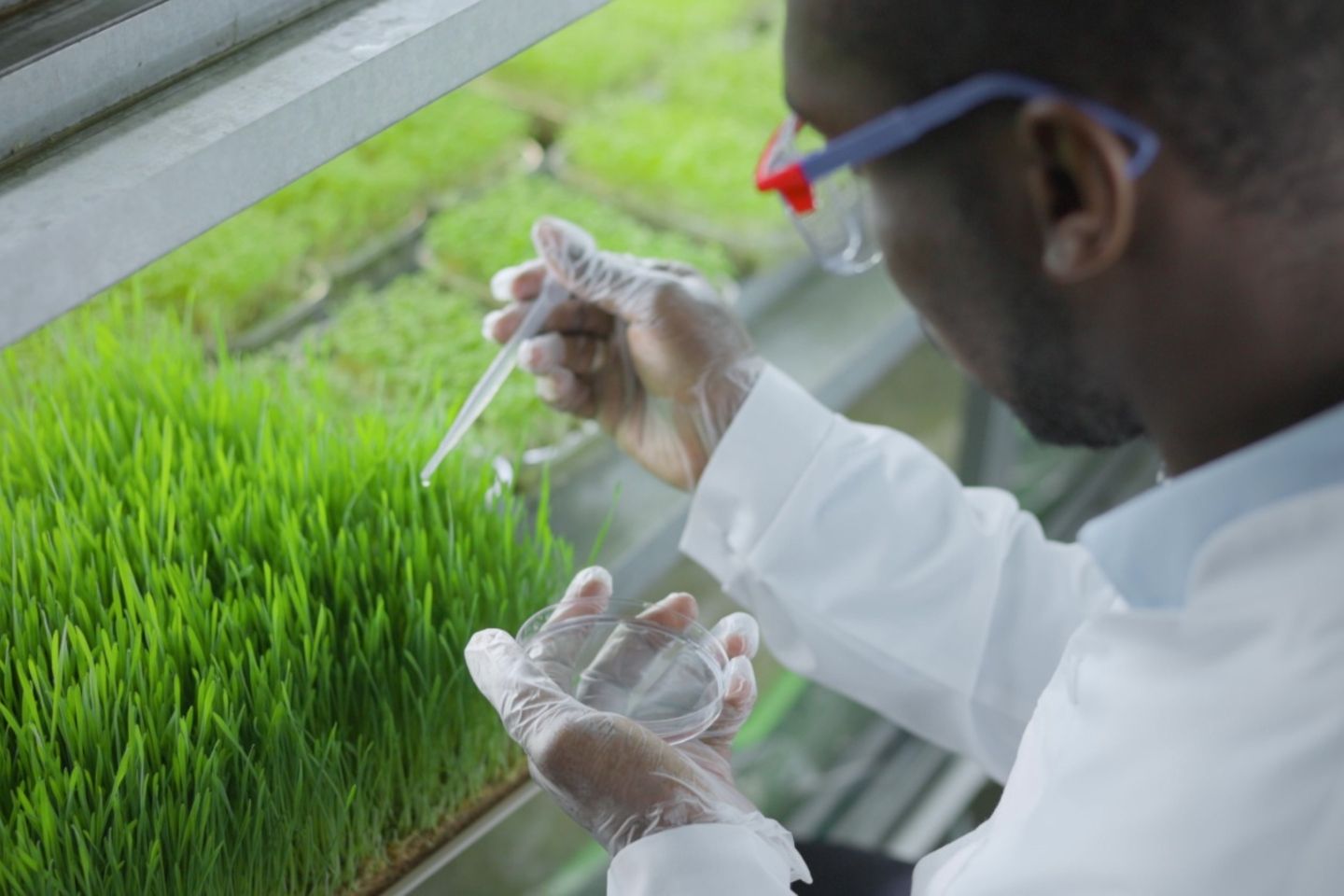 Innovacion agropecuaria