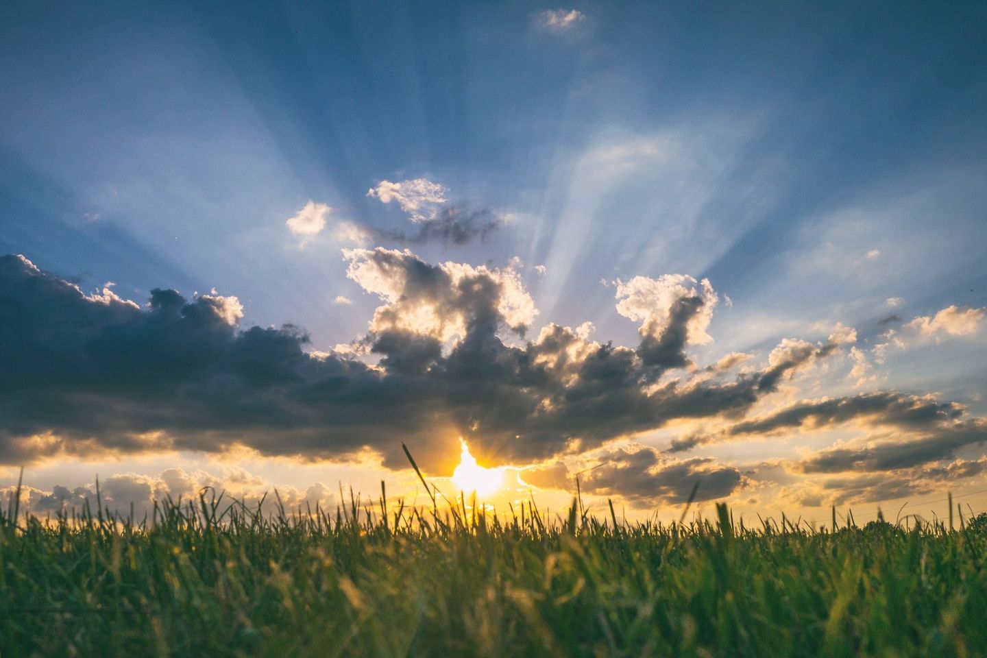 aaron-burden-BTubi6qaY6Q-unsplash