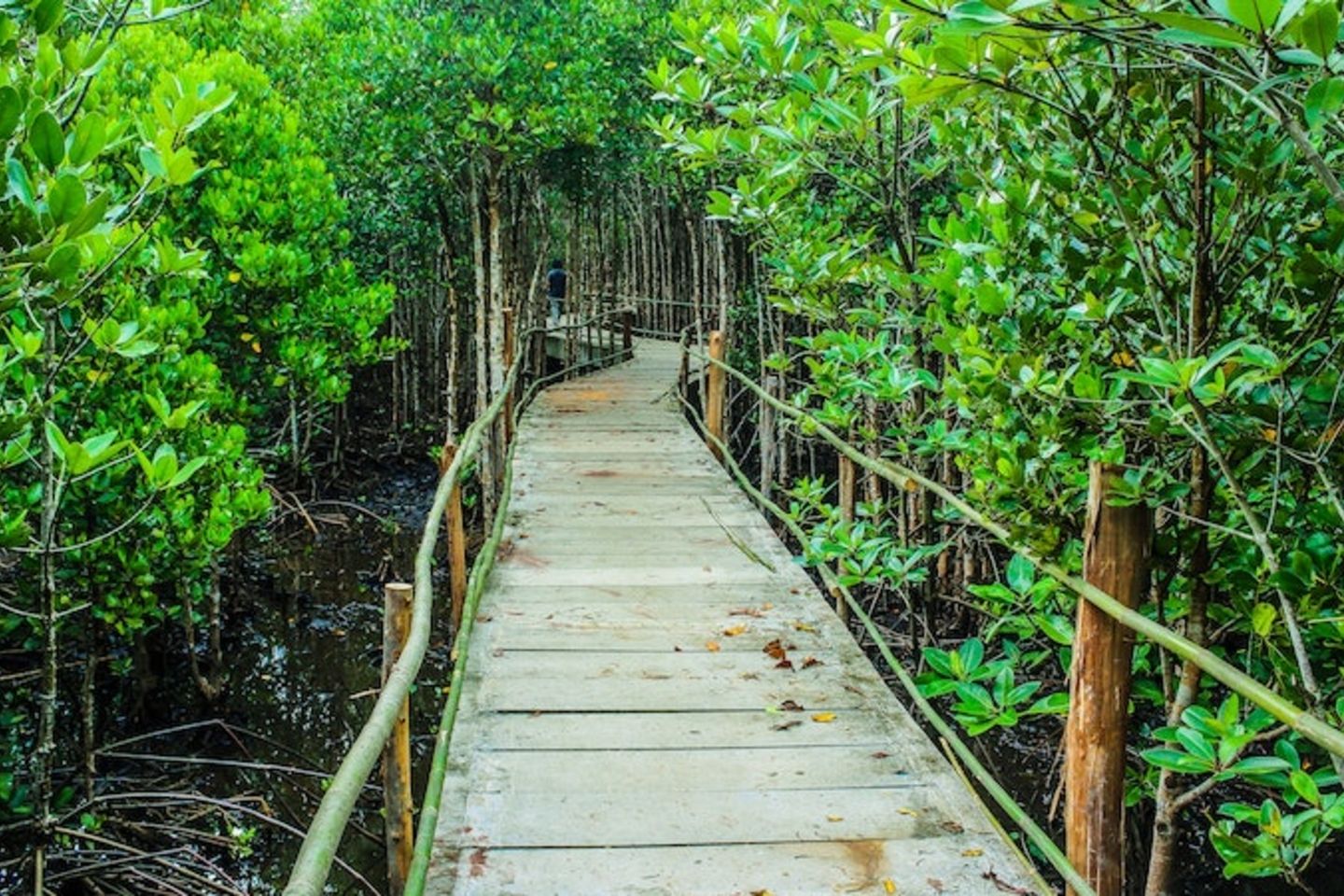 adventure-awesome-boardwalk-726298