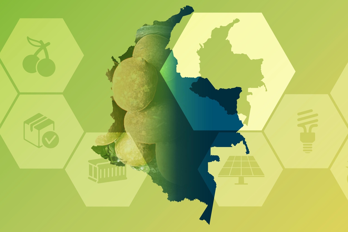 amazonas_colombia_frutas_esp_Thumnail