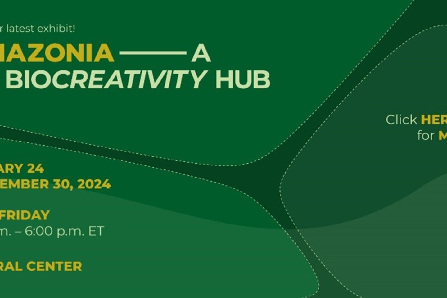 banner amazonia en blog