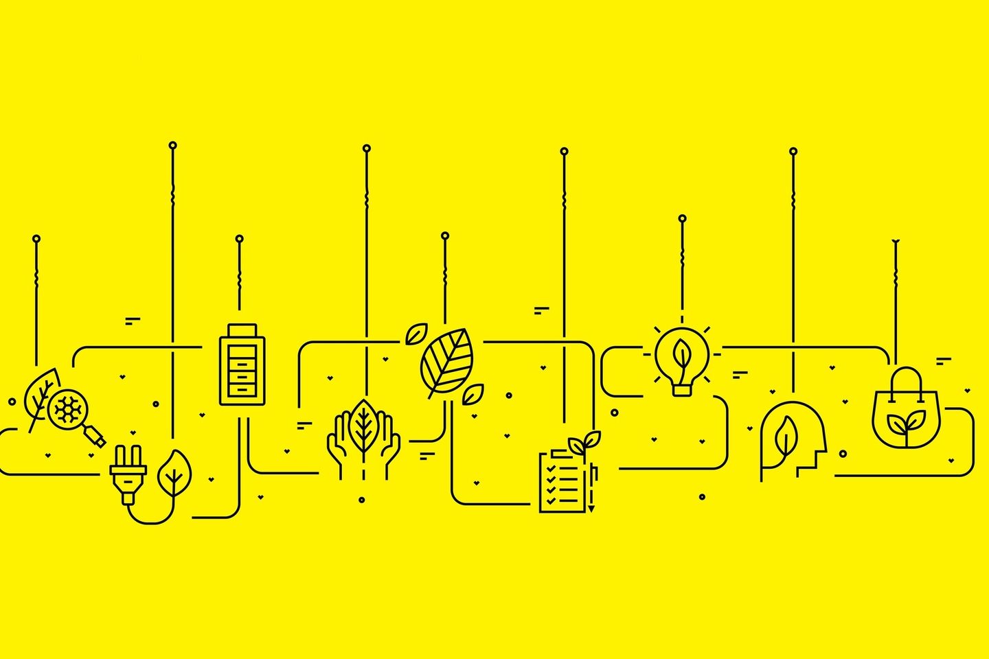 Ecology Infographic Template