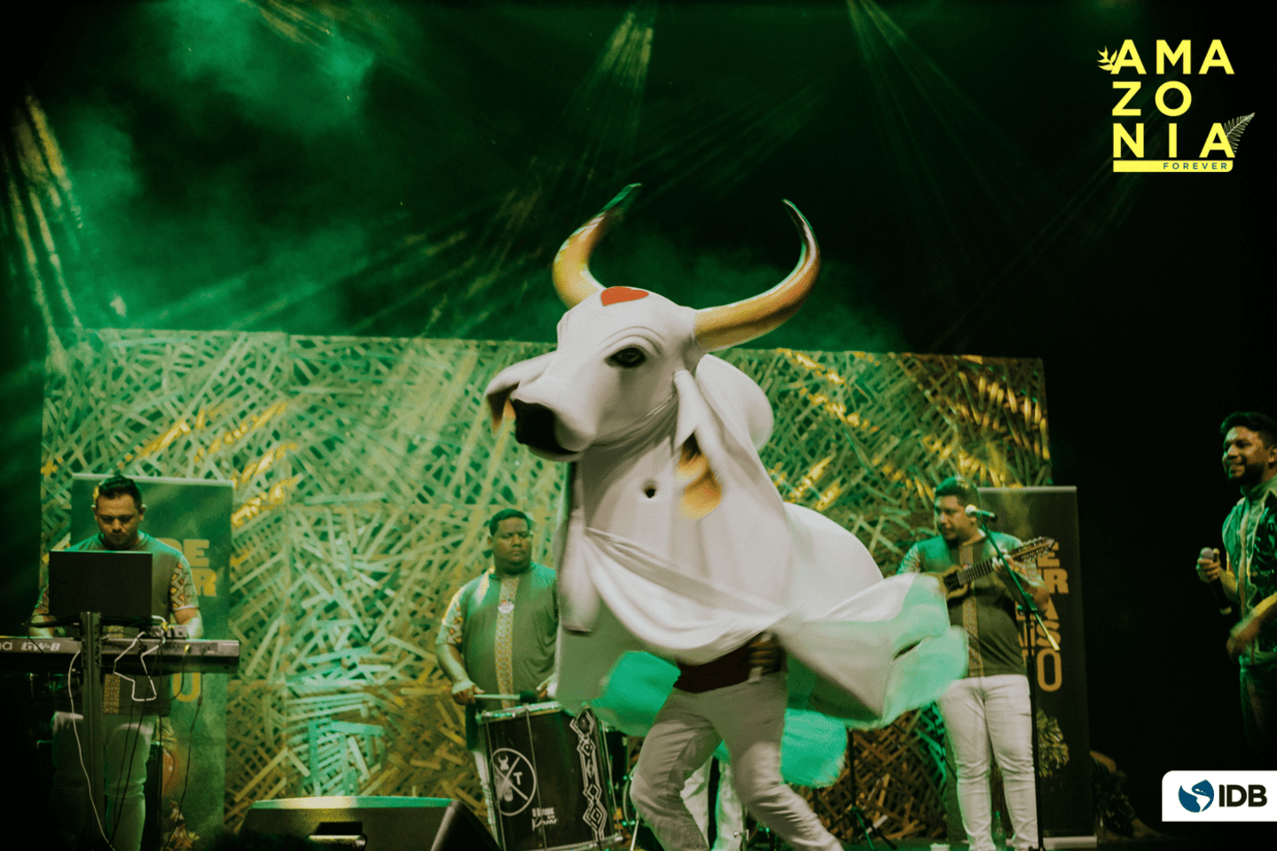 boi-garantido-no-fiinsa_54103108986_o