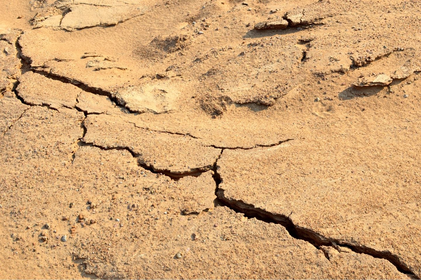 cambio climático CO2 América Latina covid-19 coronavirus PIB crecimiento económico desigualdad-min