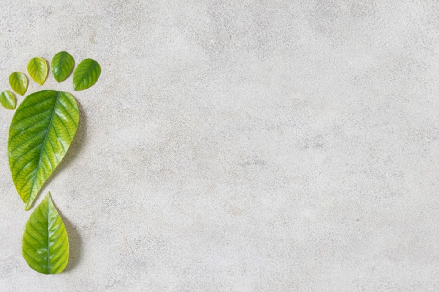 composicion-elementos-estilo-vida-sostenible-bodegon