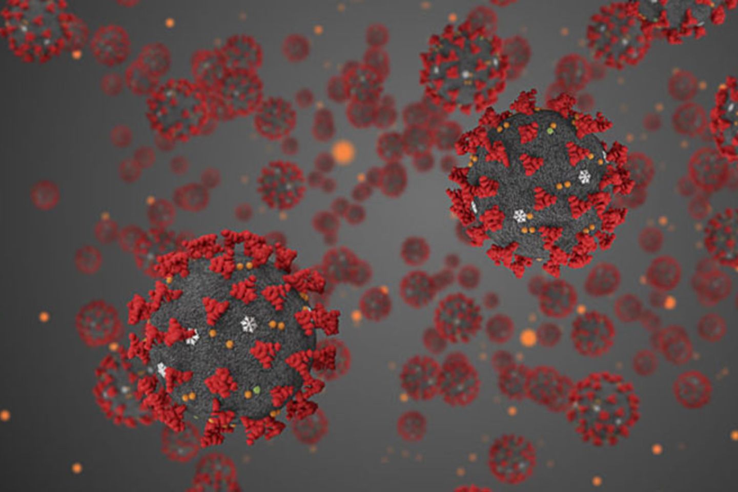 coronavirus desempleo