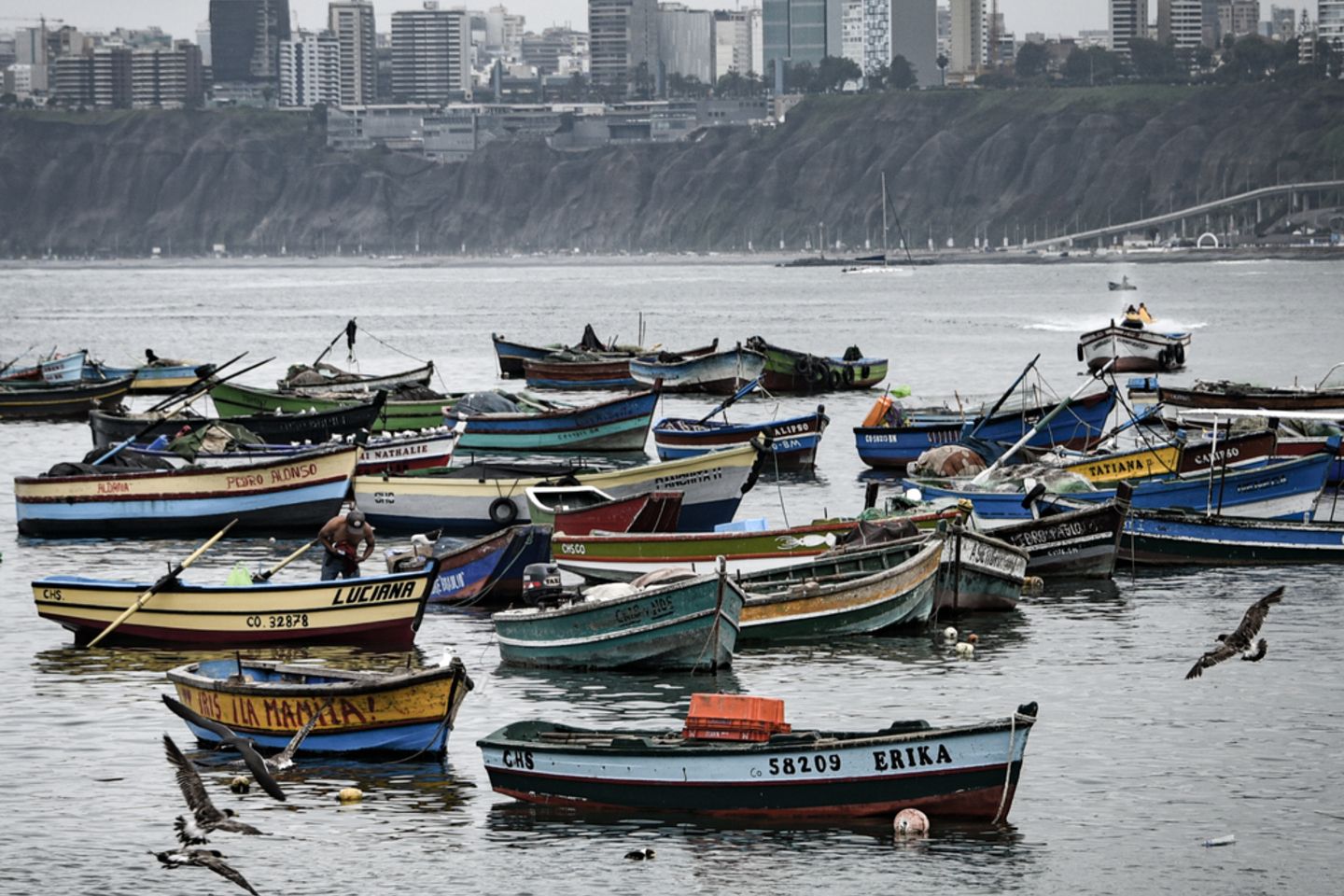Fishing boats in Chorrillos harbour against the backdrop of the commercial Miraflores district. Lima, Peru