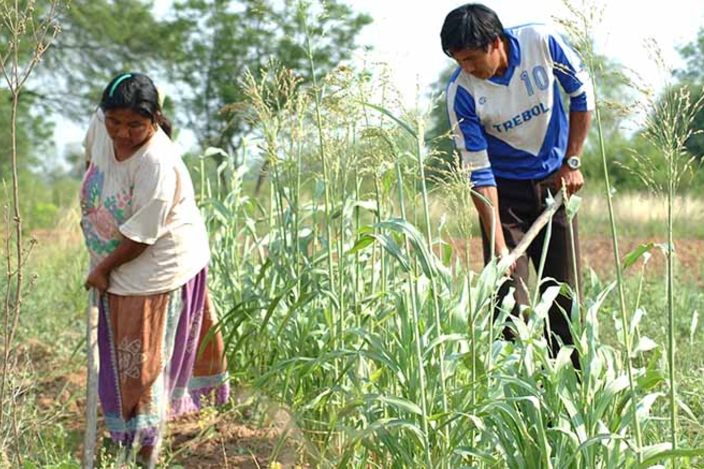 formalización paraguay