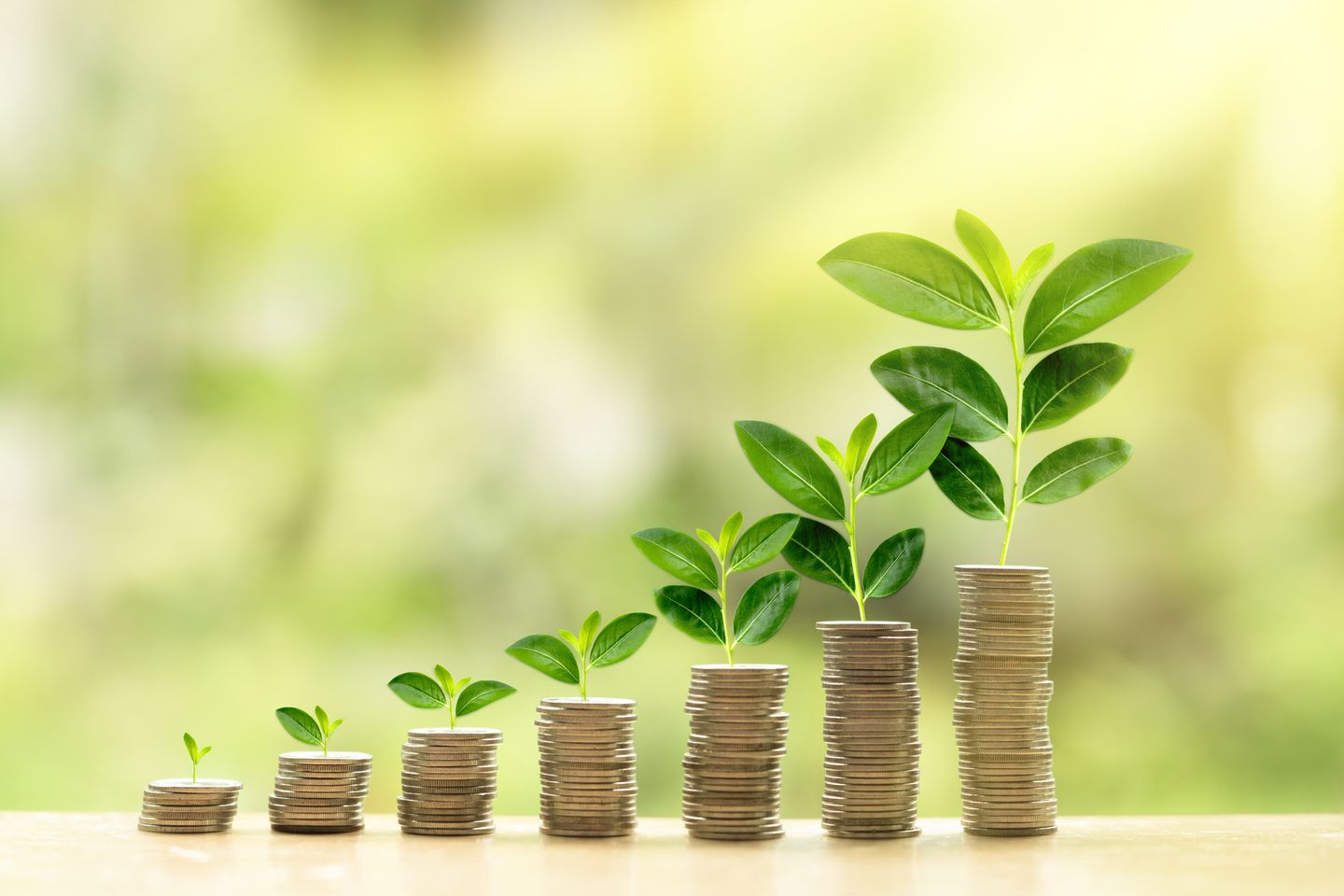 Growing investment concept